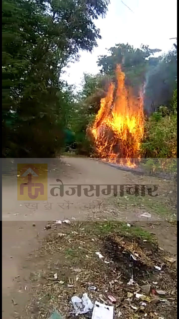 धुलिया: नर्सरी में लगी आग