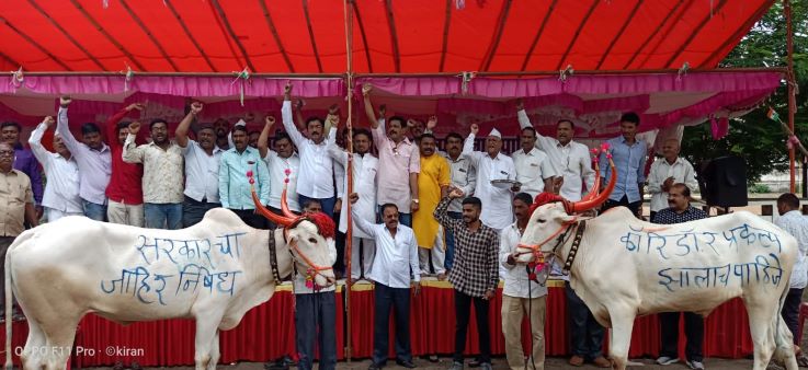 दिल्ली मुंबई कॉरिडोर तीसरे दिन आंदोलन बैलों की पूजा कर किया शासन का निषेध